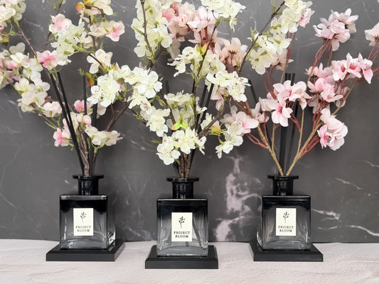 Why Your House Smells Stale After Vacation (And How to Make It Smell Fresh Again)