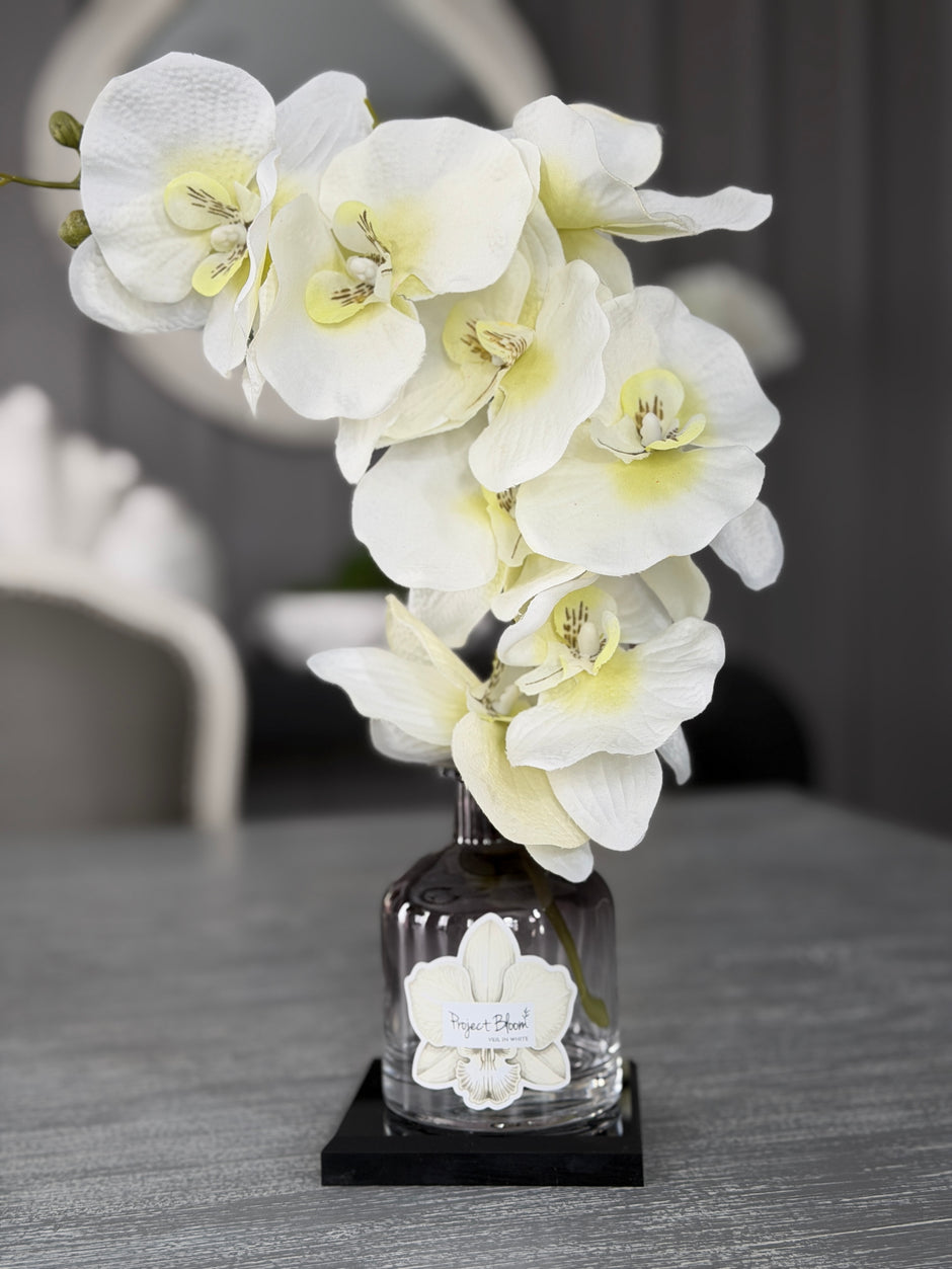 White orchids in a clear vase on a gray surface with a blurred background