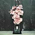 Load image into Gallery viewer, Pink Velour (Signature Edition)
