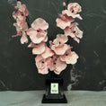 Load image into Gallery viewer, Pink Velour (Core Edition)
