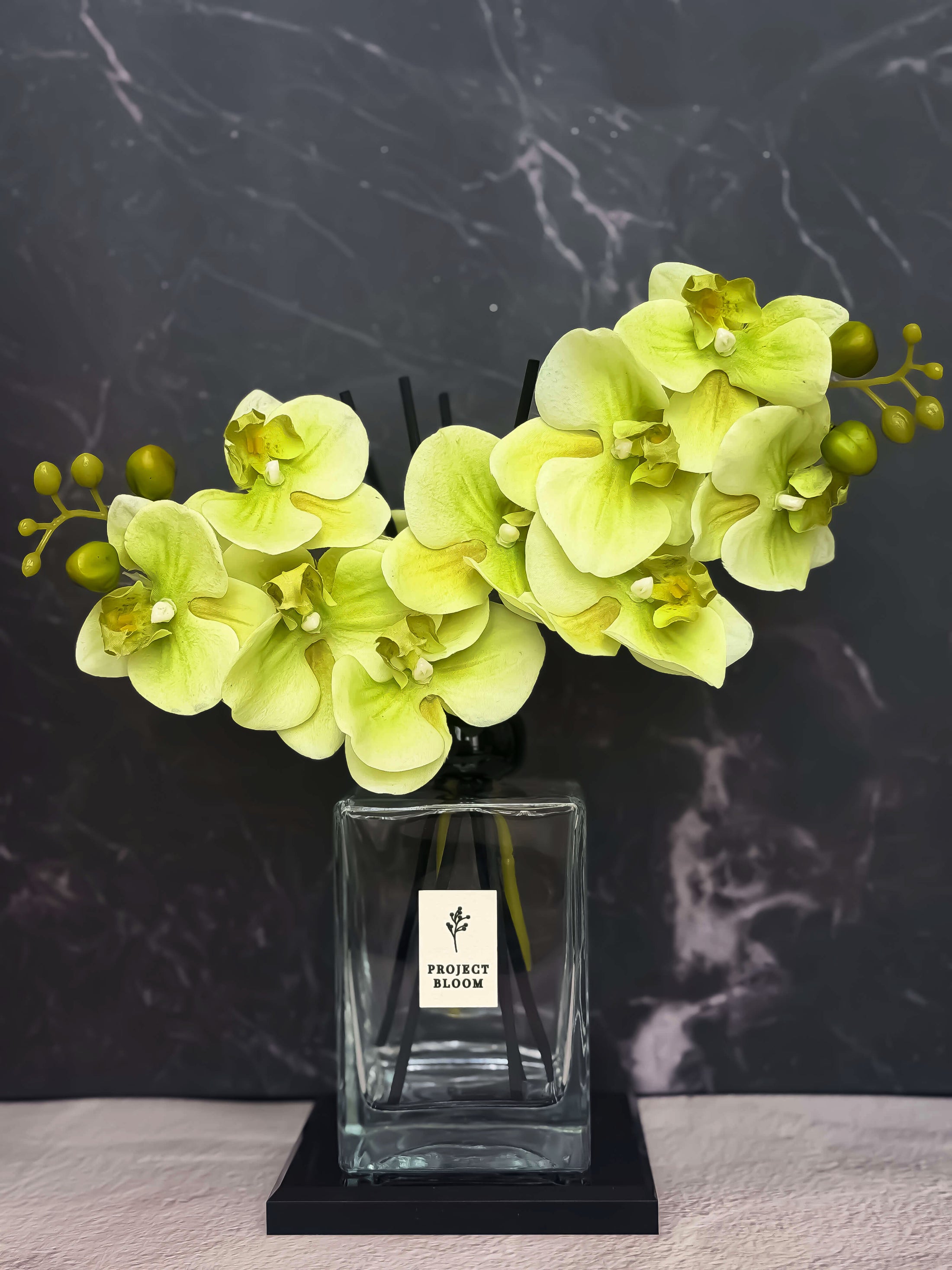 Plum Botanique (Signature Edition)