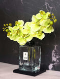 Load image into Gallery viewer, Plum Botanique (Signature Edition)
