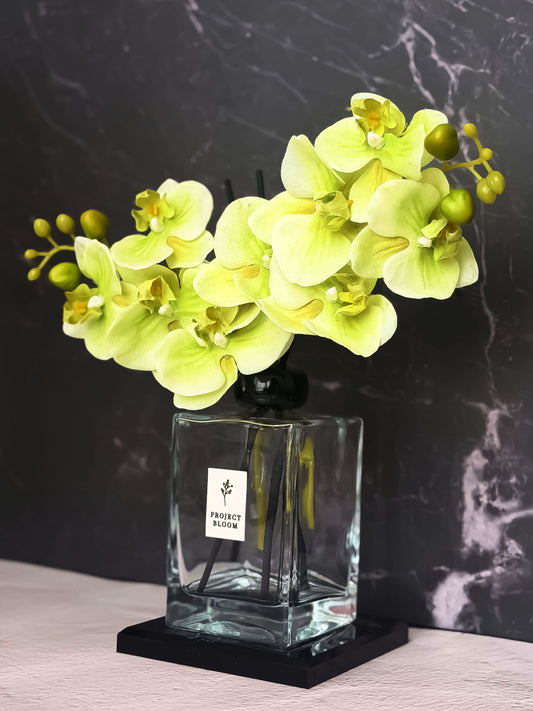 Plum Botanique (Signature Edition)