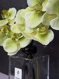 Load image into Gallery viewer, Plum Botanique (Signature Edition)
