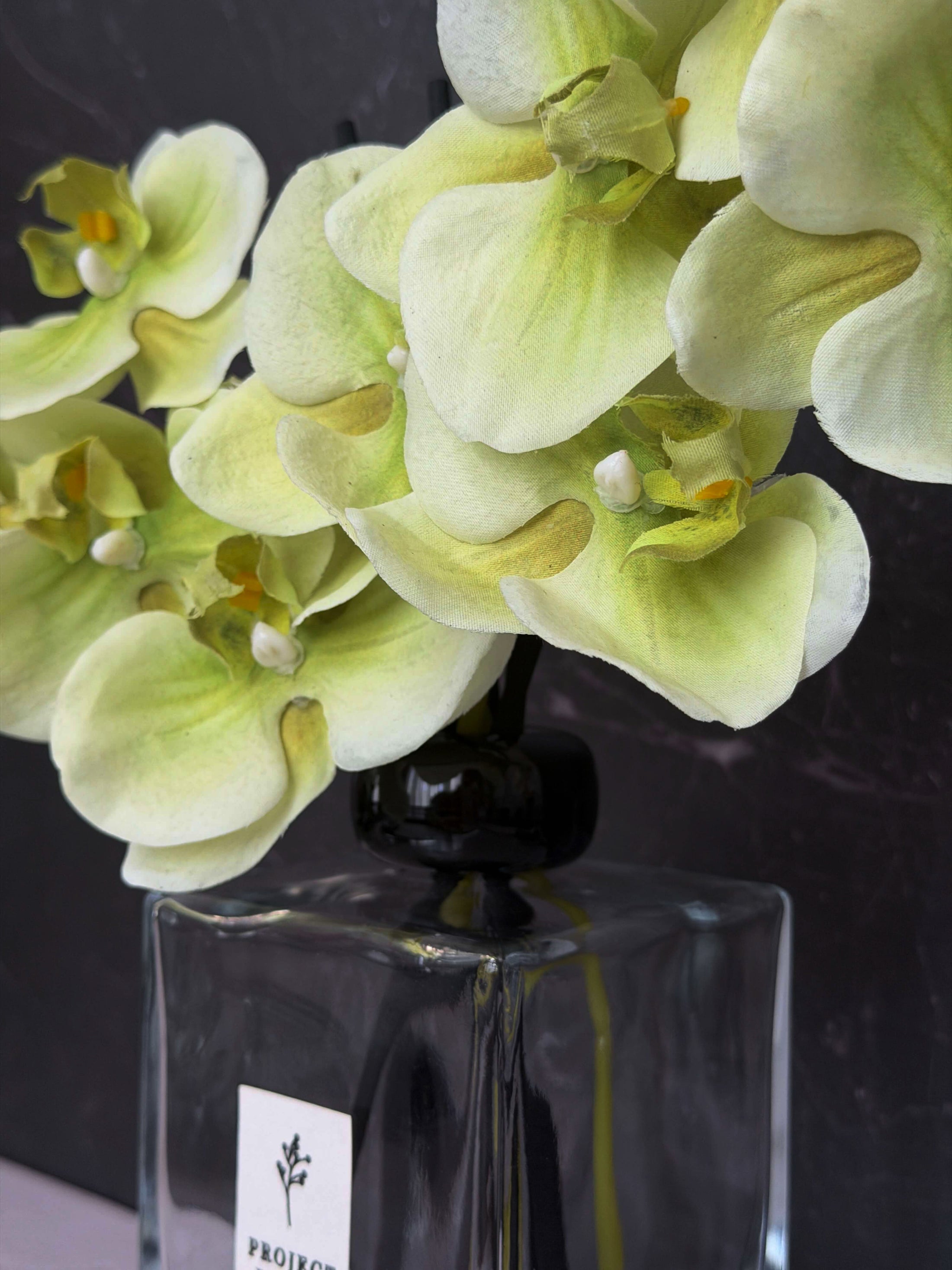 Plum Botanique (Signature Edition)