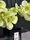 Load image into Gallery viewer, Plum Botanique (Core Edition)
