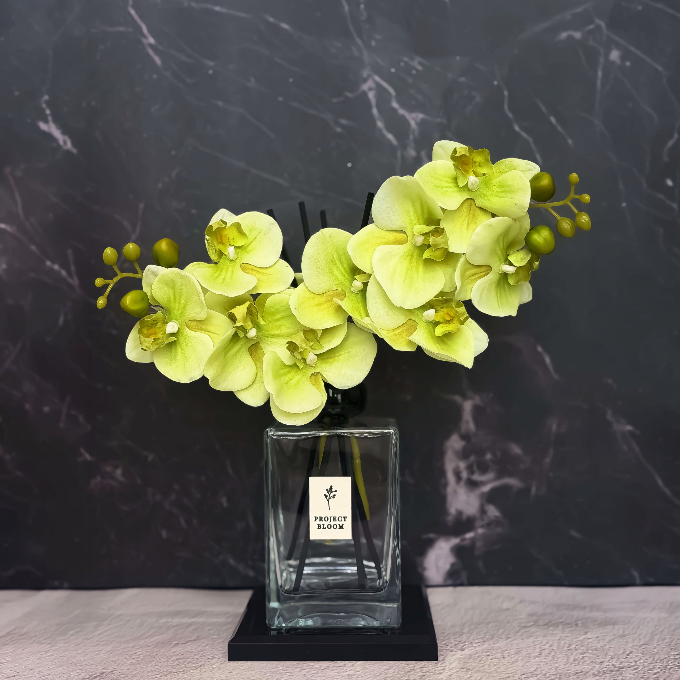 Plum Botanique (Signature Edition)