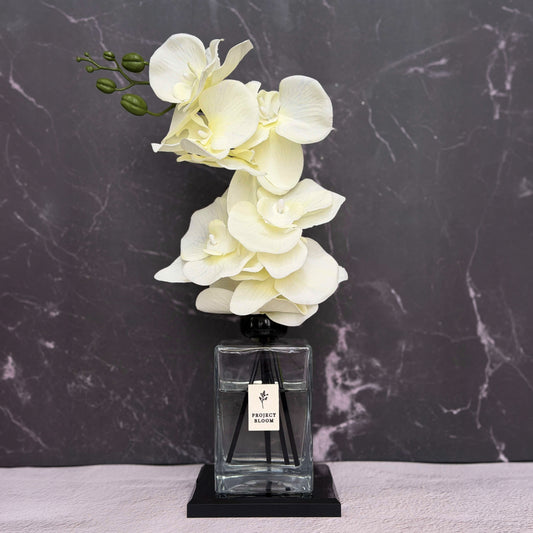 Veil In White (Signature Edition)