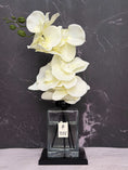 Load image into Gallery viewer, Veil In White (Signature Edition)
