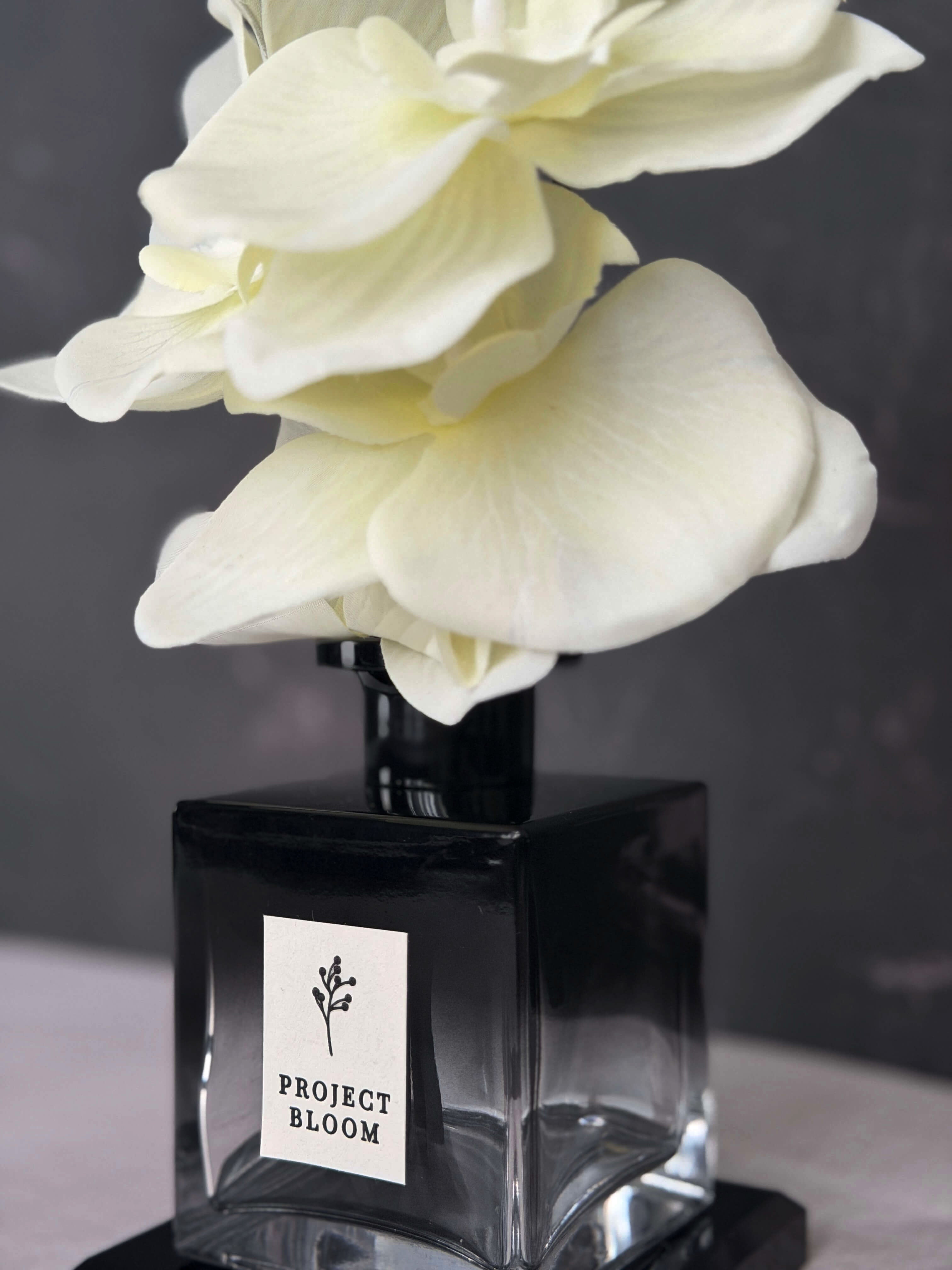 Veil In White (Core Edition) – The Project Bloom