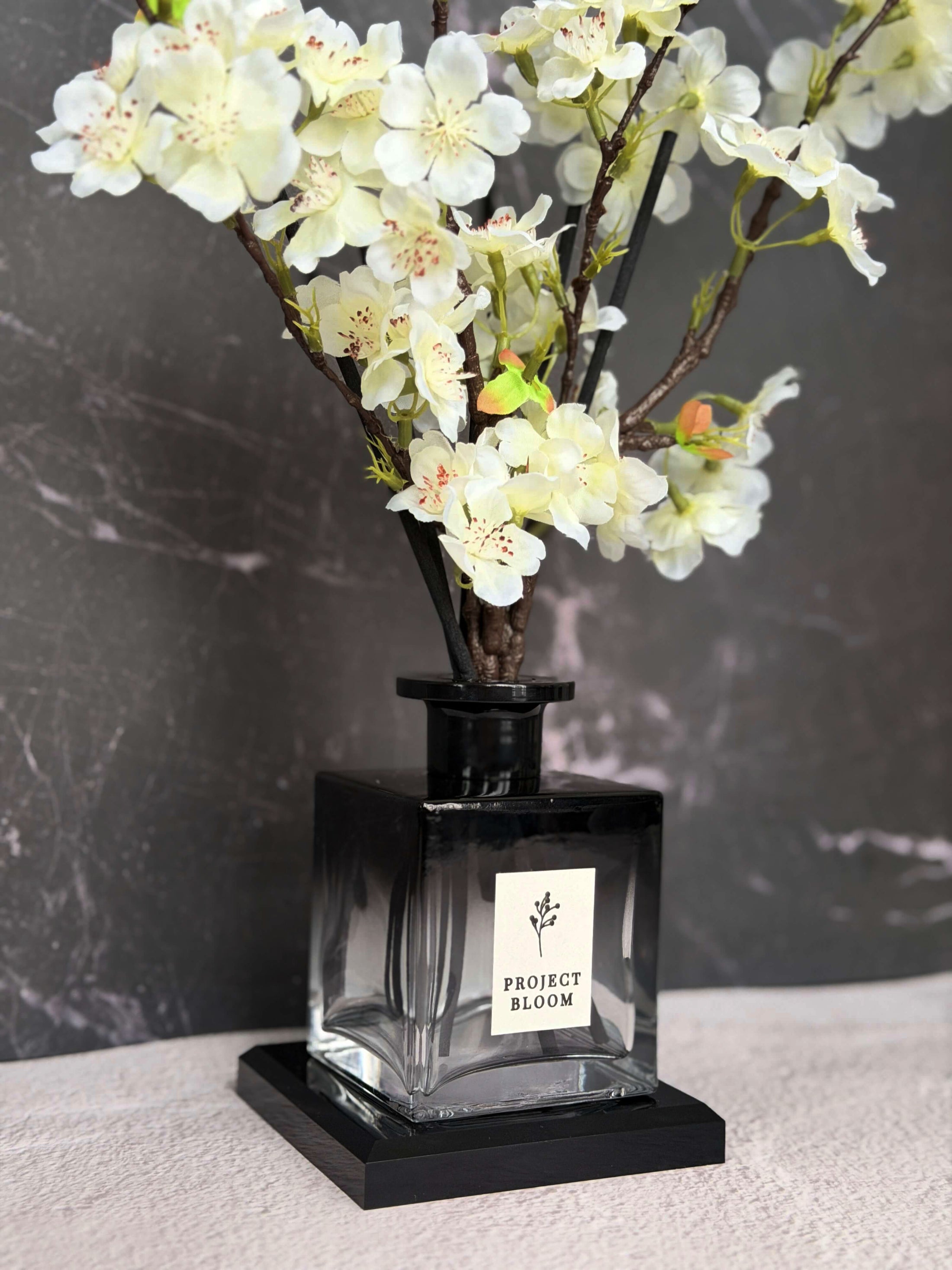 Vetiver & White Jasmine (Core Edition)