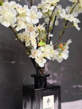 Load image into Gallery viewer, Vetiver & White Jasmine (Core Edition)
